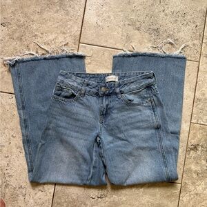 Pacsun Casey Low Rise Baggy Jeans